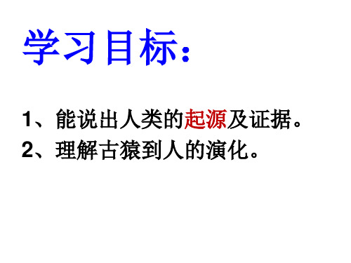 人类的起源和进化概述ppt课件