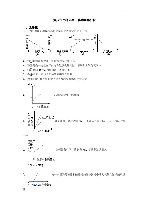 大庆市中考化学一模试卷解析版