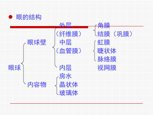 第十二章药物对眼的毒性作用