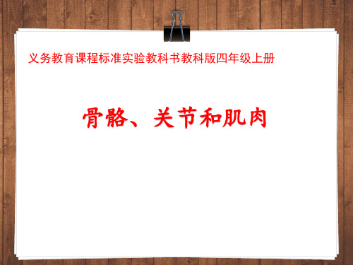 四年级上册科学骨骼、关节和肌肉教科版