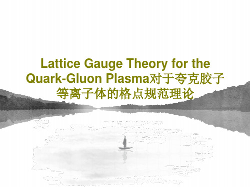 Lattice Gauge Theory for the Quark-Gluon Plasma对于夸