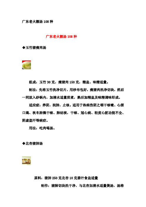 广东老火靓汤108种