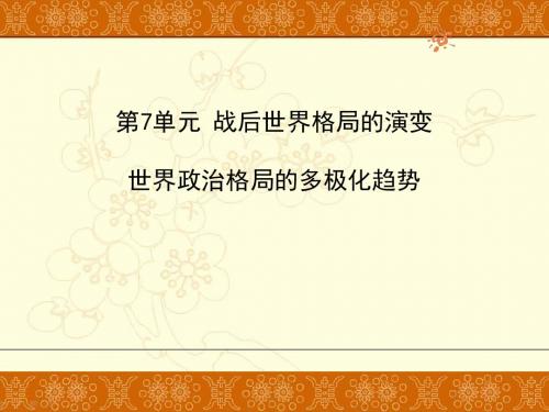 人教版初中九年级下册历史：世界政治格局的多极化趋势