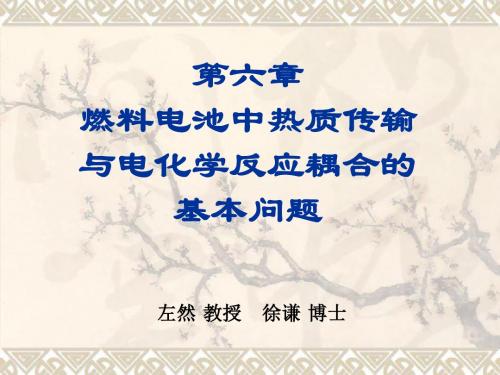 传热和传质基本原理第六章燃料电池中的传热传质