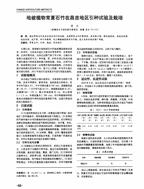 地被植物常夏石竹在昌吉地区引种试验及栽培