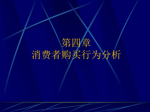 04消费者购买行为分析.pptx