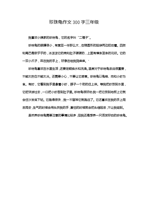 珍珠龟作文300字三年级