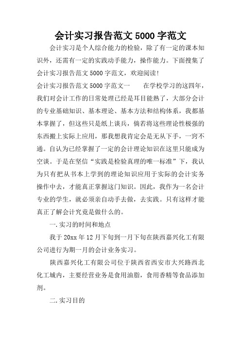 会计实习报告范文文本5000字范文.doc