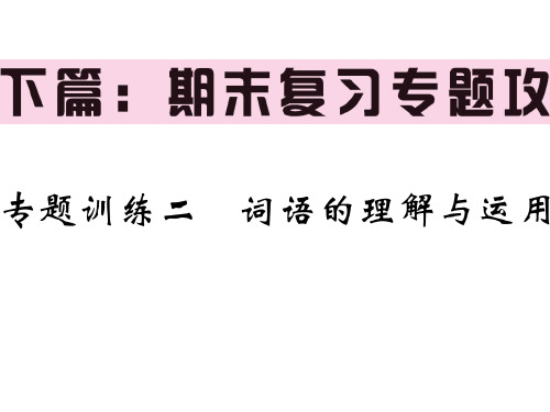 人教部编版八年级语文下册教用课件：期末复习专题攻 专题二 词语的理解与运用(共31张PPT)