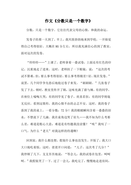 分数只是一个数字作文600字