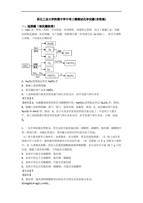 西北工业大学附属中学中考三模测试化学试题(含答案)