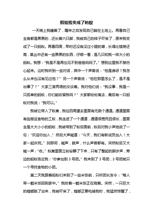 五年级作文：假如我变成了蚂蚁作文600字