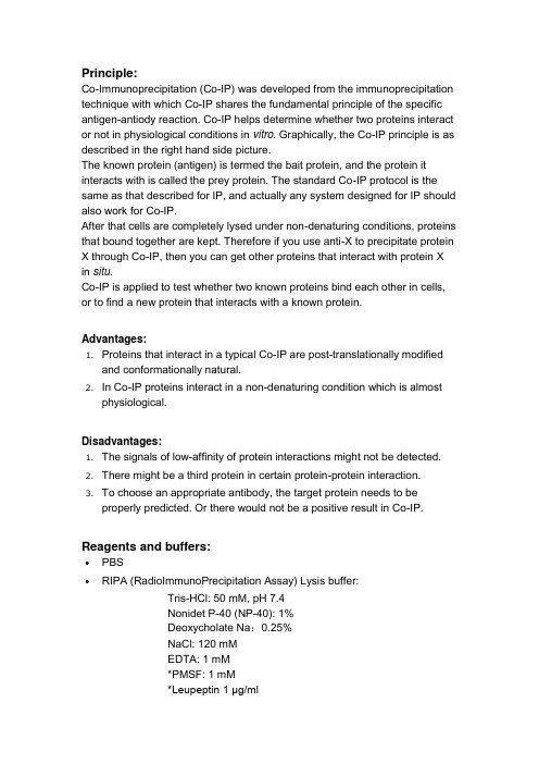 免疫共沉淀(Co-Immunoprecipitation)原理及实验方法-英文