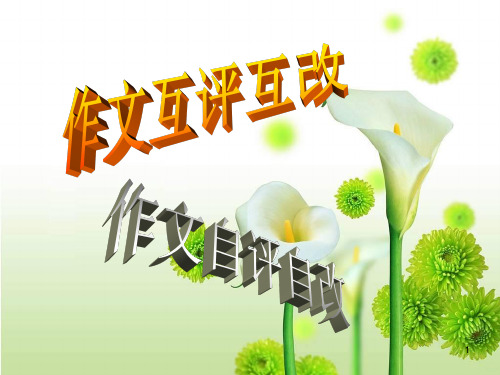 作文互评精品PPT课件