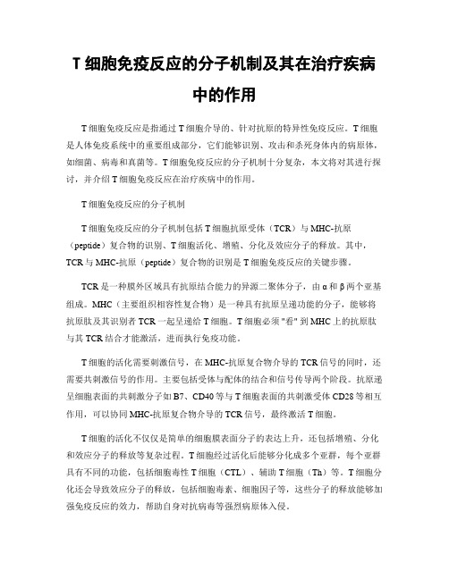 T细胞免疫反应的分子机制及其在治疗疾病中的作用