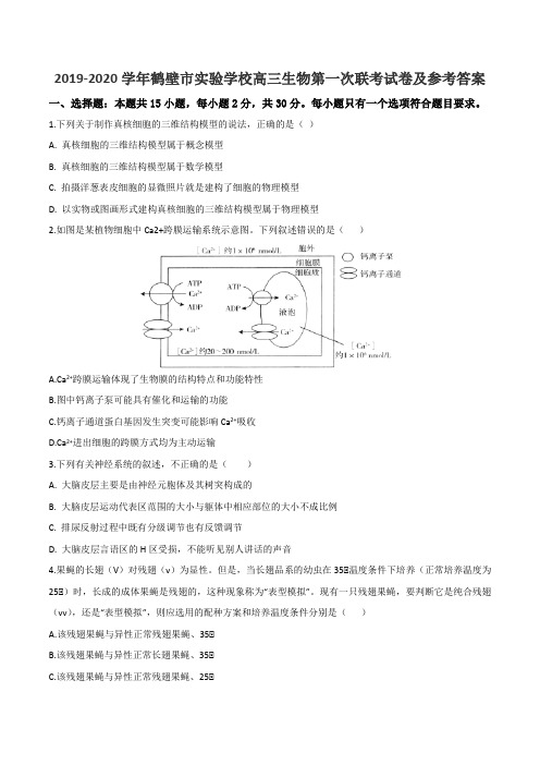 2019-2020学年鹤壁市实验学校高三生物第一次联考试卷及参考答案