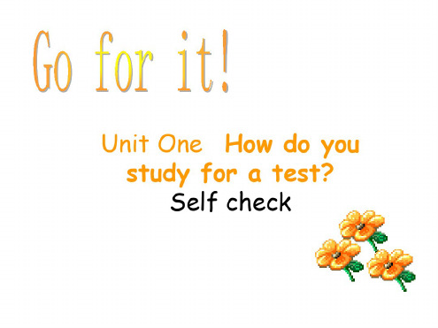 九年级英语How-do-you-study-for-a-test课件13