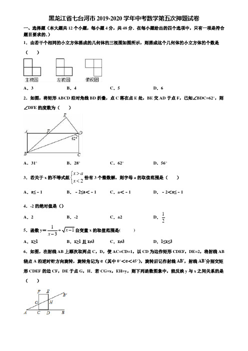 黑龙江省七台河市2019-2020学年中考数学第五次押题试卷含解析