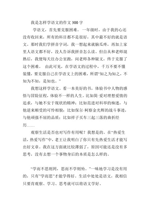 我是怎样学语文的作文300字