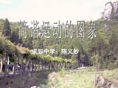 高一物理简谐运动的图象
