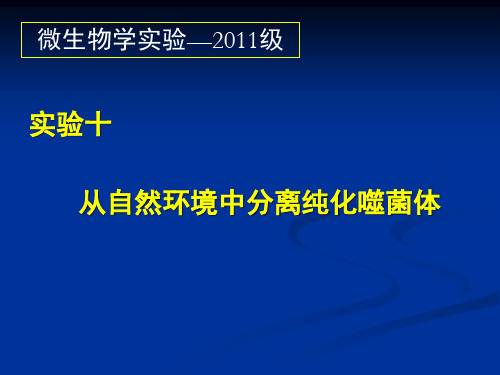 实验十一 从自然环境中分离纯化噬菌体