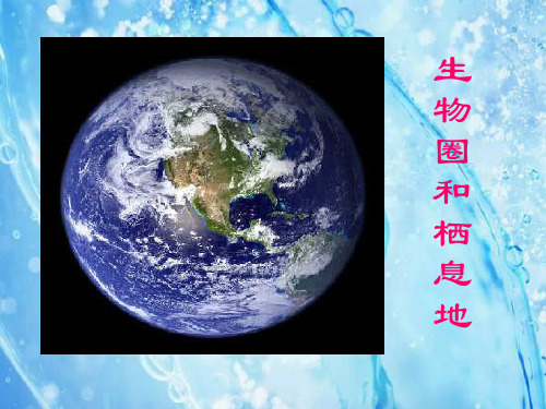 生物圈和栖息地.ppt