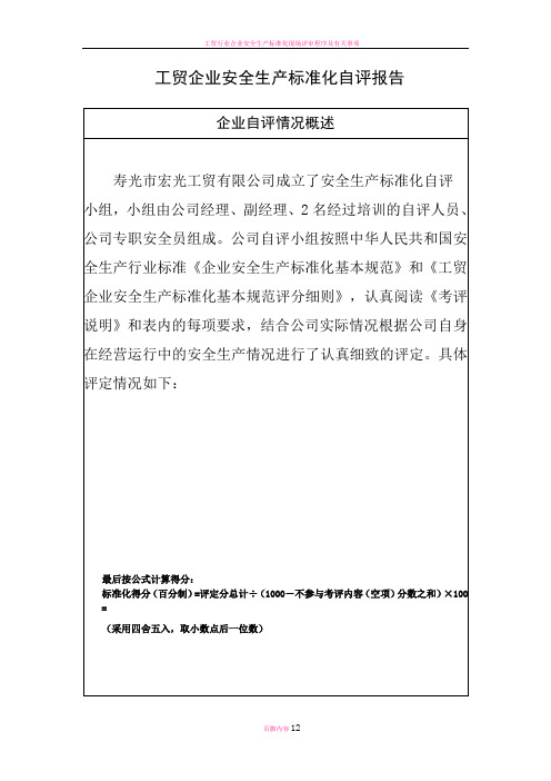 工贸行业企业安全生产标准化自评报告及自评分汇总表