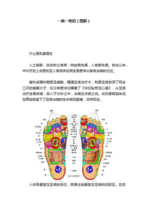 一病一绝招（图解）