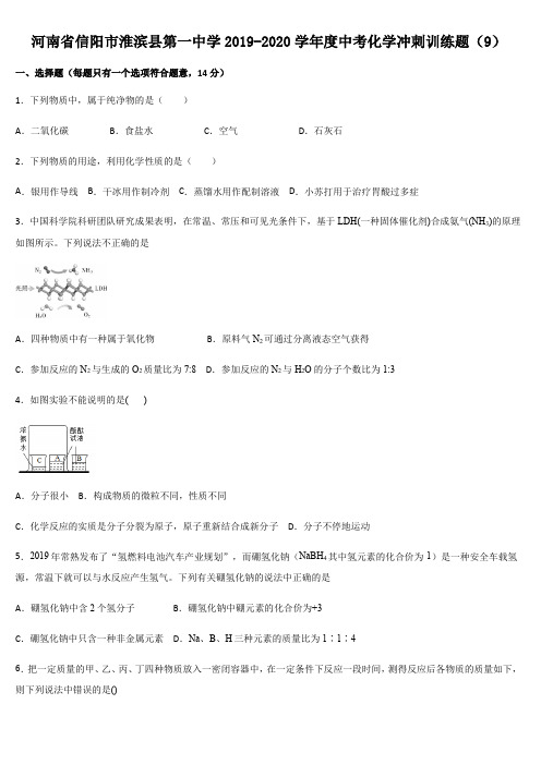 河南省信阳市淮滨县第一中学2019-2020学年度中考化学冲刺训练试题(9)