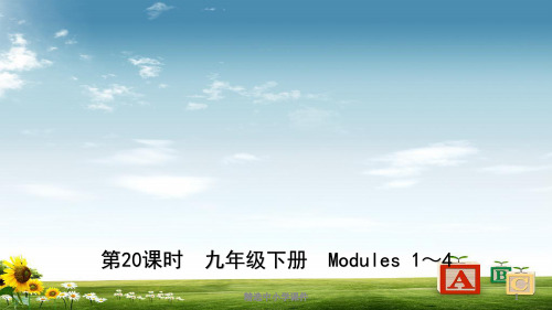 精选-中考英语总复习第20课时九下Modules1_4课件