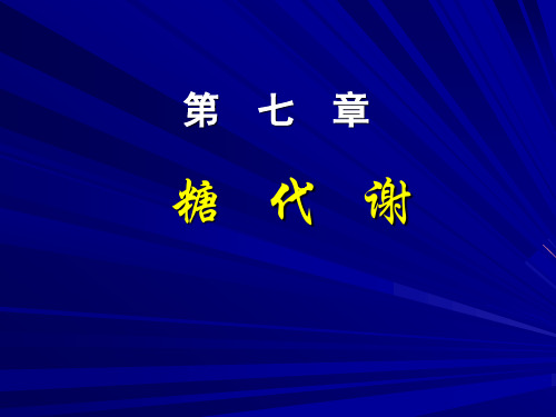 第七章糖代谢