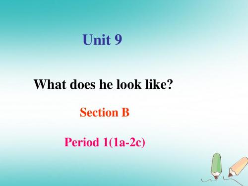 17年度-18学年七年级英语下册 Unit 9 What does he look like Section B Period 1(1a-2c) 人教新目标版