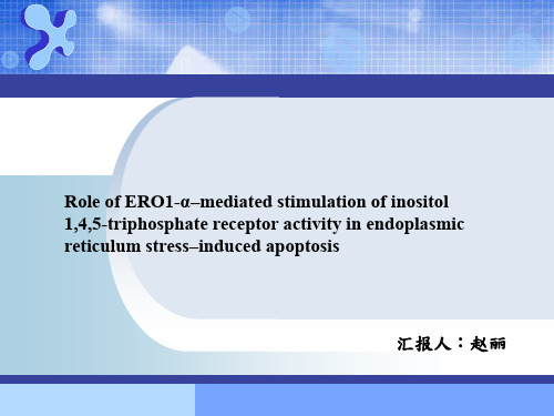 内质网应激致细胞凋亡 优质课件