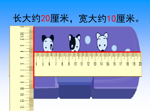 苏教版二年级下册数学认识分米和毫米课件PPT