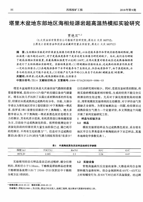 塔里木盆地东部地区海相烃源岩超高温热模拟实验研究