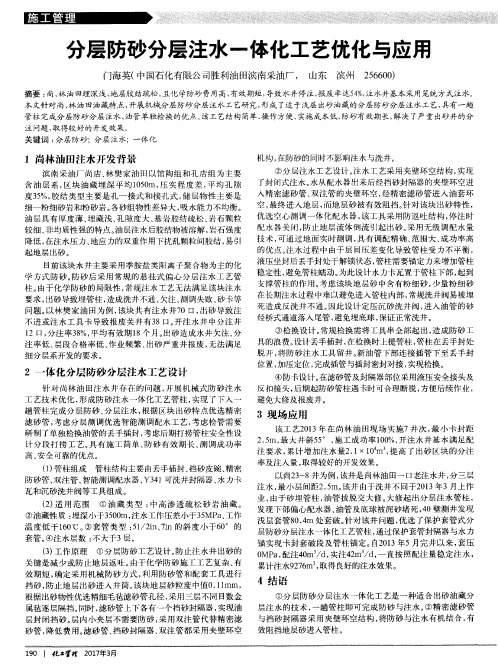 分层防砂分层注水一体化工艺优化与应用