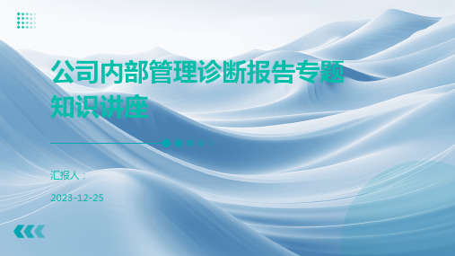 公司内部管理诊断报告专题知识讲座