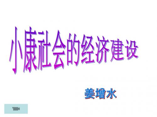 高一政治小康社会的经济建设