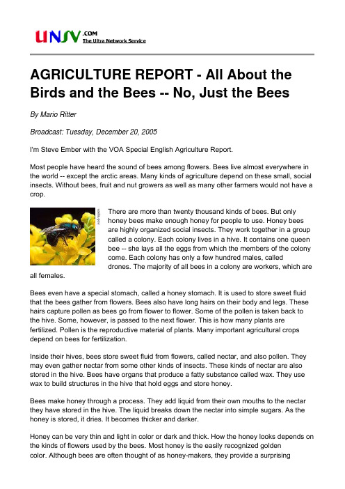 AGRICULTURE REPORT - All About the Birds and the Bees -- No, Just the Bees