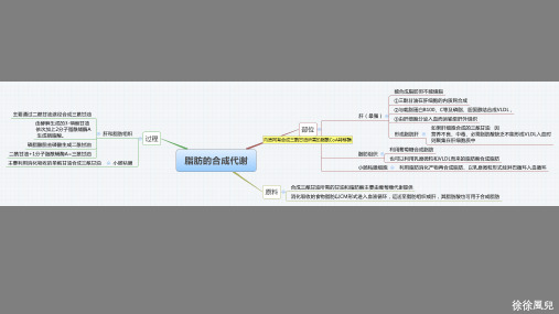 王镜岩-生物化学思维导图课件