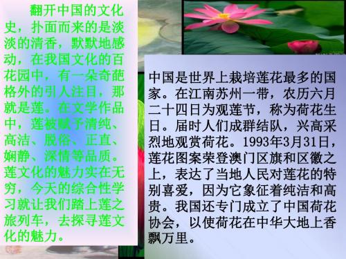 莲文化的魅力(教学实录 课件)