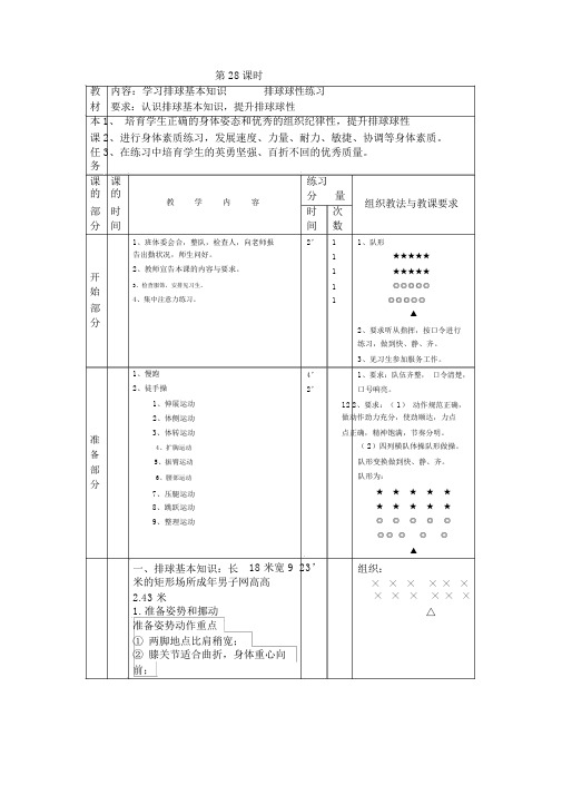 排球球性练习