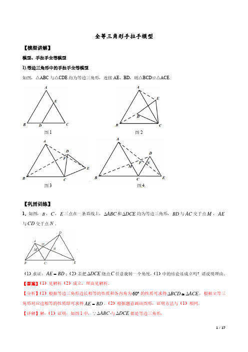 【中】全等三角形手拉手模型(解析版)