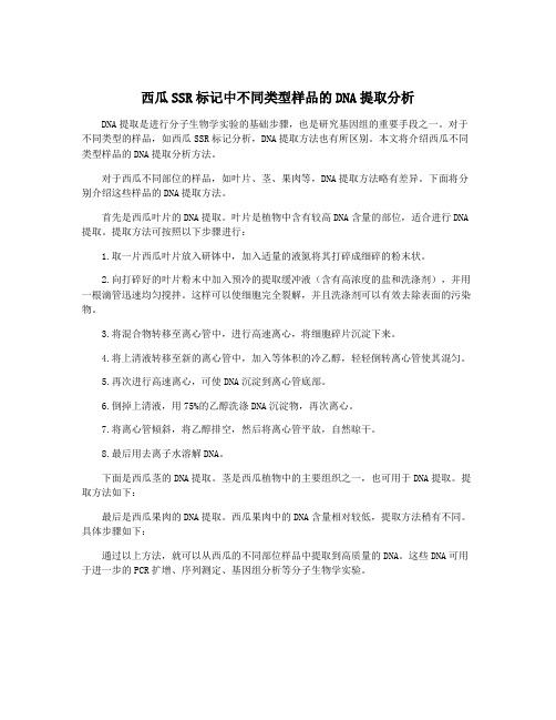 西瓜SSR标记中不同类型样品的DNA提取分析