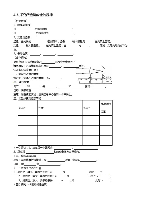 八年级物理上册 4.3 探究凸透镜成像的规律学案苏科版