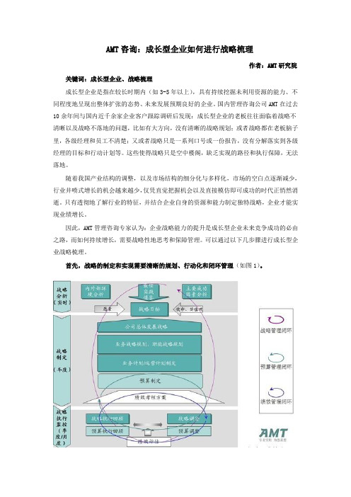 AMT咨询：成长型企业如何进行战略梳理