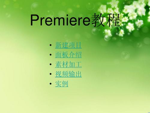 Premiere教程