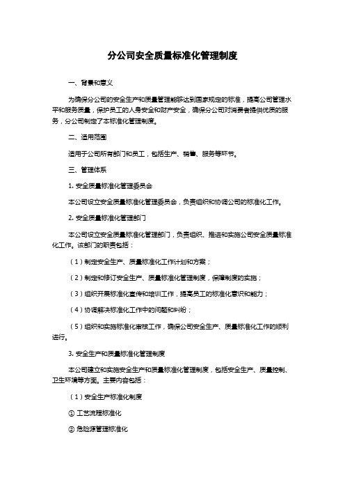 分公司安全质量标准化管理制度