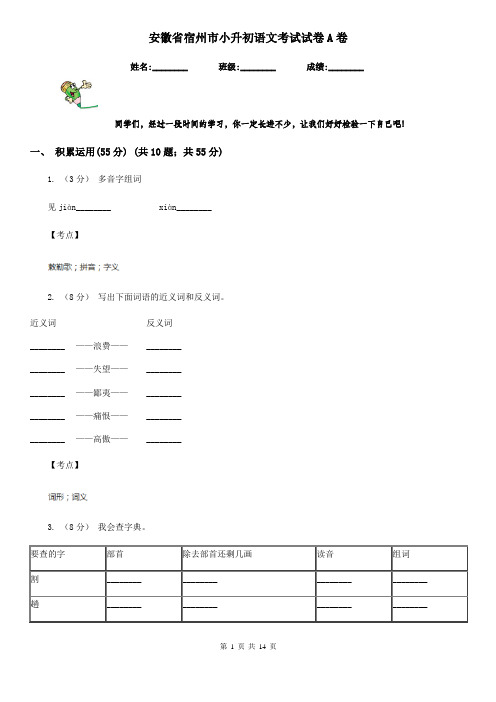 安徽省宿州市小升初语文考试试卷A卷