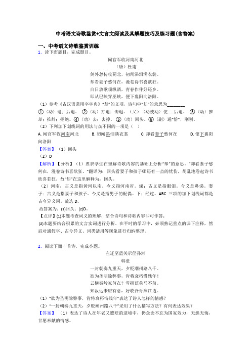 中考语文诗歌鉴赏+文言文阅读及其解题技巧及练习题(含答案)